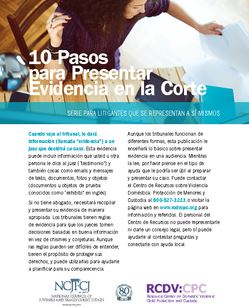 cover photo of 10 Pasos para Presentar Evidencia en la Corte 