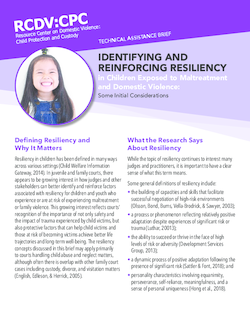 Identifying and Reinforcing Resiliency in Children Exposed to Maltreatment and Domestic Violence