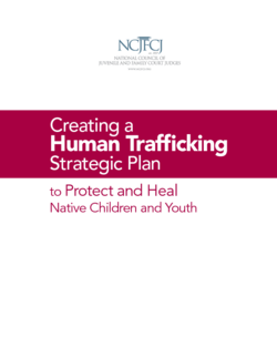 Cover Image for Creating a Human Trafficking Strategic Plan to Protect and Heal Native Children and Youth