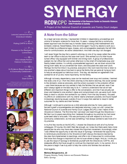 Cover Image for NCJFCJ | Synergy | Vol 19 | No 2 | Spring 2016