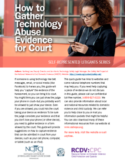 Cover Photo for How to Gather Technology Abuse Evidence for Court