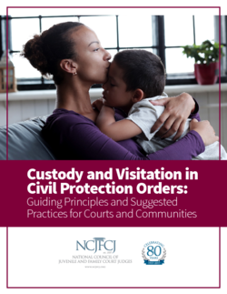Custody and Visitation in CPOs: Guiding Principles and Suggested Practices
