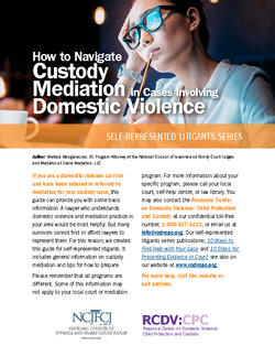 Cover Image for How to Navigate Custody Mediation in Cases Involving Domestic Violence