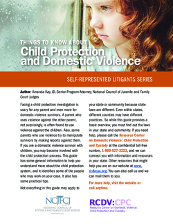  Things to Know About Child Protection and Domestic Violence