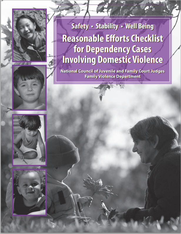Reasonable Efforts Publication Cover Page