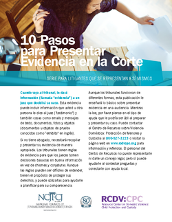 10 Pasos para Presentar Evidencia en la Corte Cover