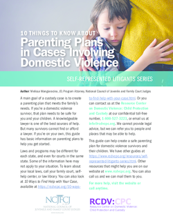 10 Things to Know About Parenting Plans in Cases Involving Domestic Violence Cover